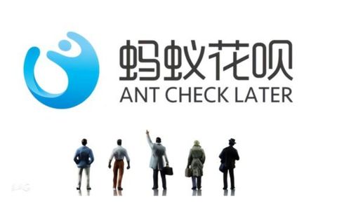 字節跳動“放心花”能否撼動“花唄”江湖？保險經紀服務或是關鍵變量